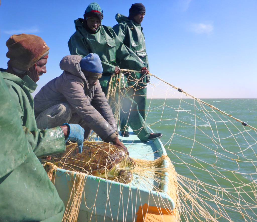 artisanal fishing